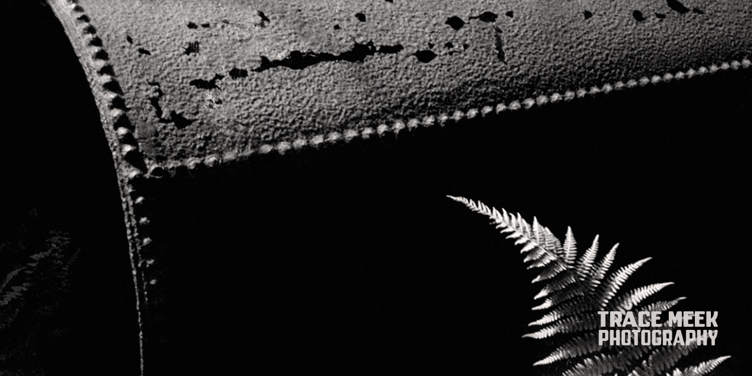 Photo by Trace Meek